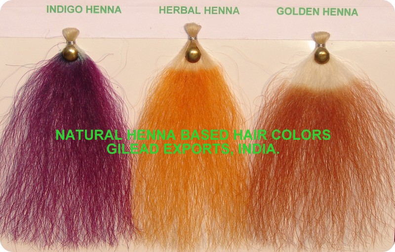 Gilead Hair Dye Samples